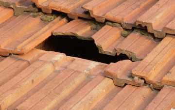 roof repair Winnington Green, Shropshire